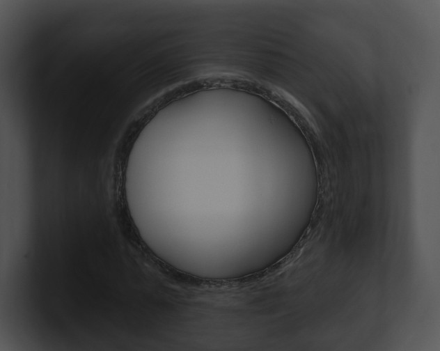 X0000100910775200806241050