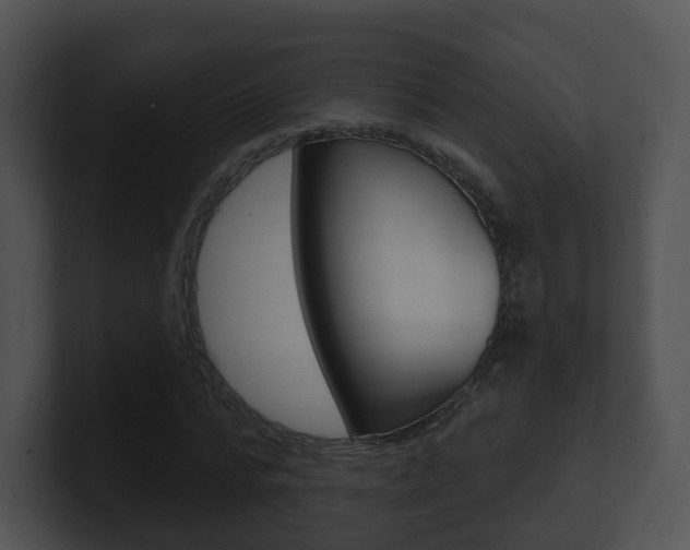 X0000100910776200806241050