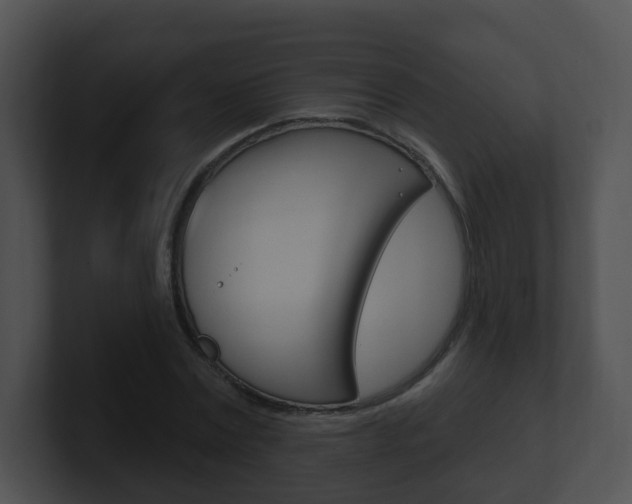 X0000100910779200806241050