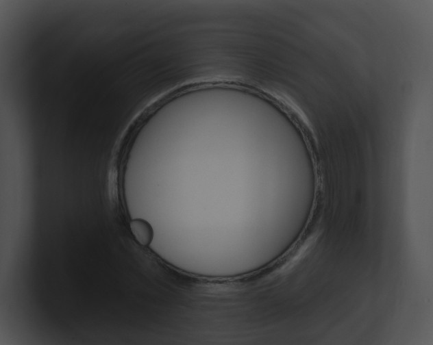 X0000100910781200806241050
