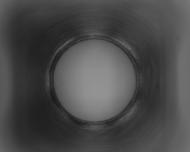 X0000100910782200806241050