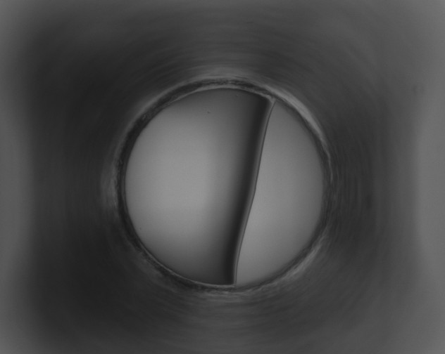 X0000100910783200806241050