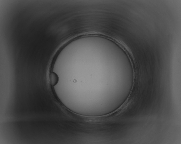 X0000100910789200806241050