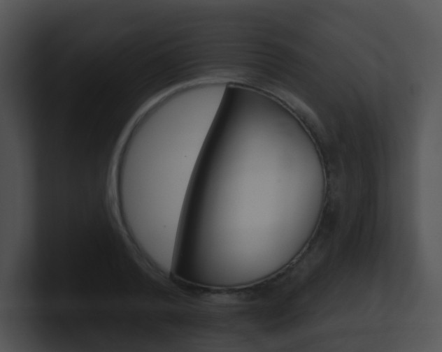 X0000100910792200806241050
