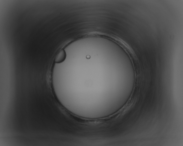 X0000100910793200806241050
