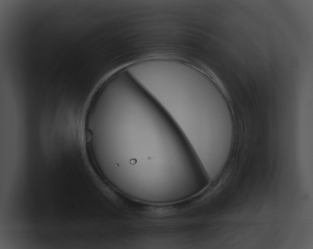 X0000100910795200806241050