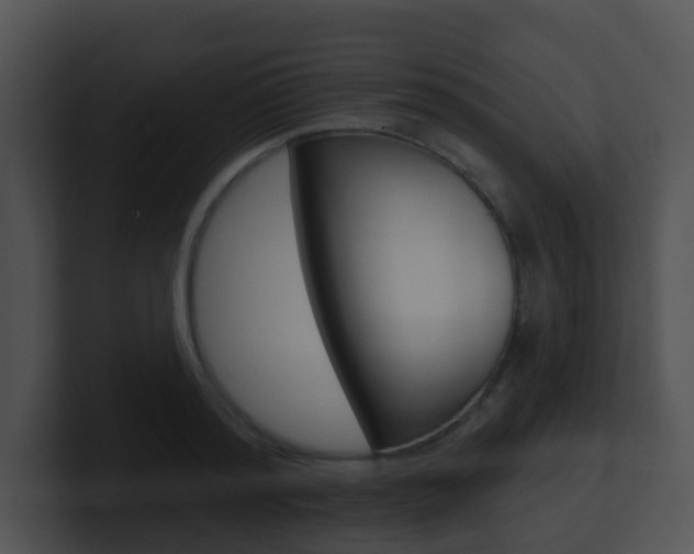 X0000100910796200806241050
