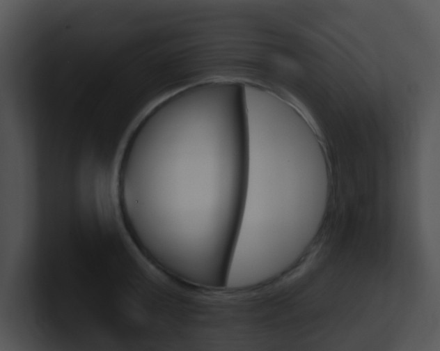 X0000100910803200806241050