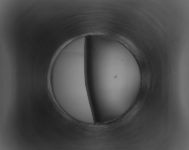 X0000100910804200806241050