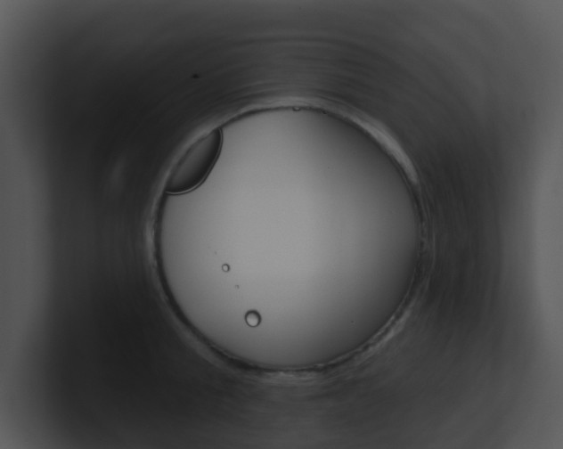 X0000100910805200806241050