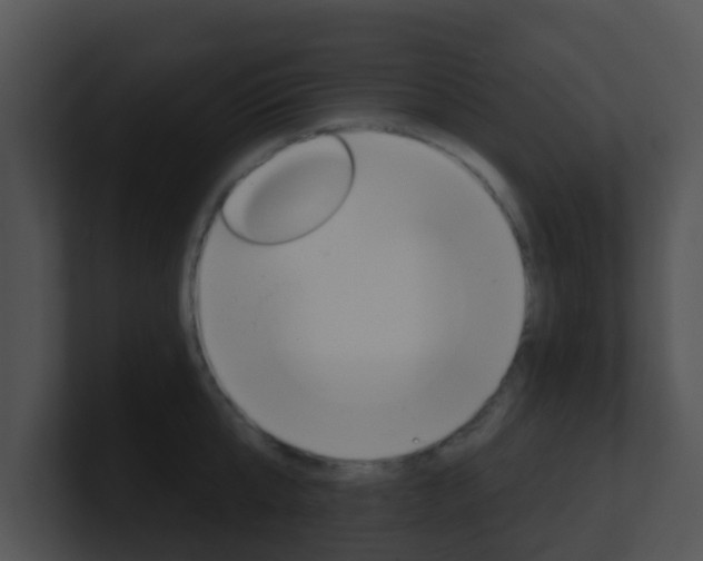 X0000100910807200806241050