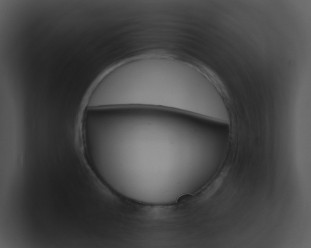 X0000100910808200806241050