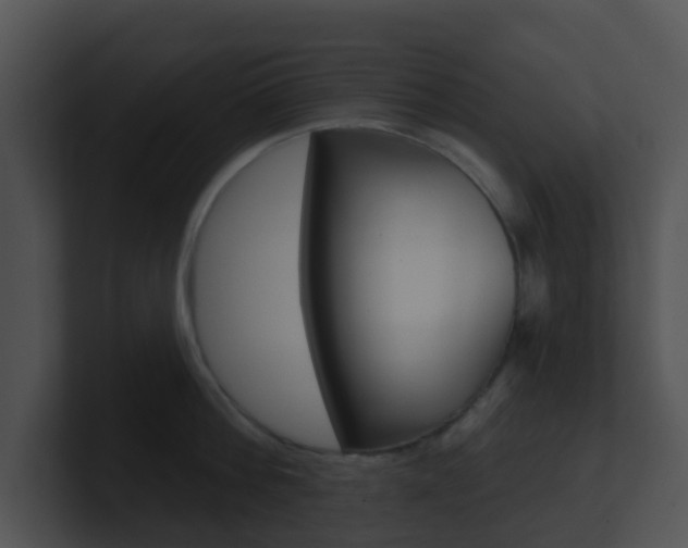 X0000100910812200806241050