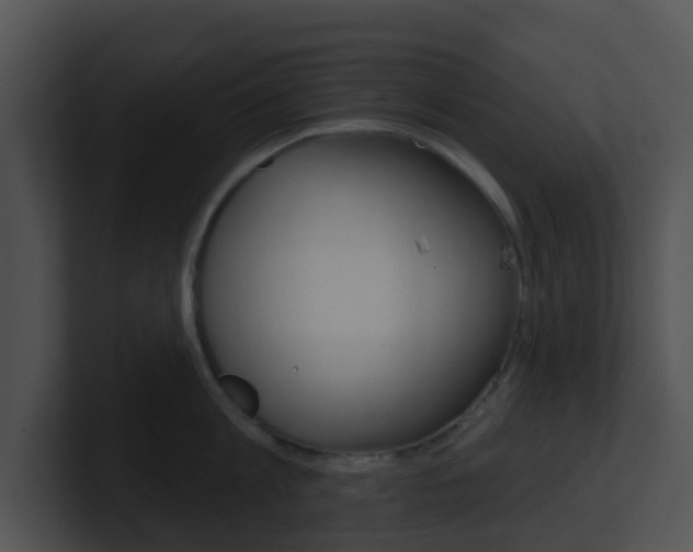 X0000100910813200806241050