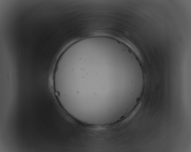 X0000100910814200806241050