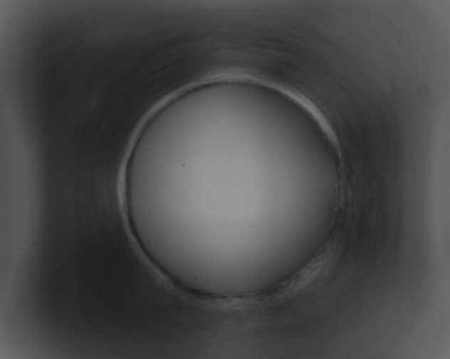 X0000100910815200806241050