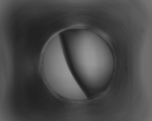 X0000100910816200806241050