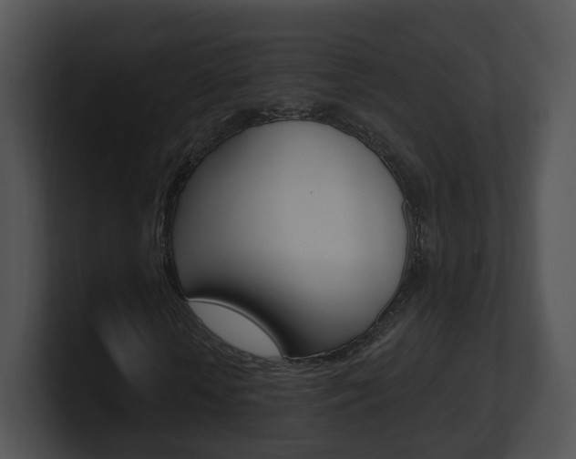 X0000100910818200806241049