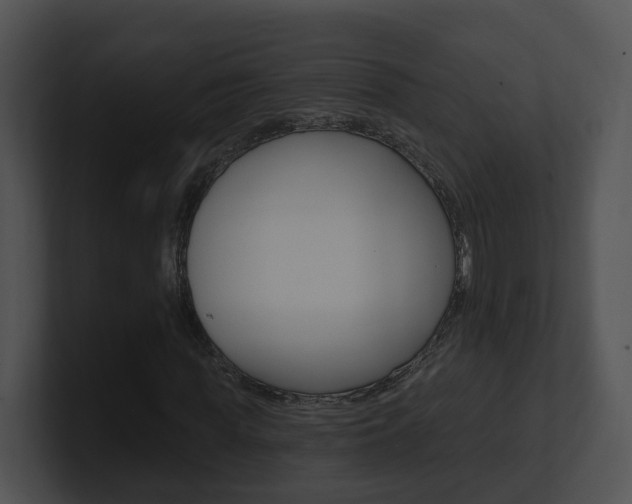 X0000100910819200806241049
