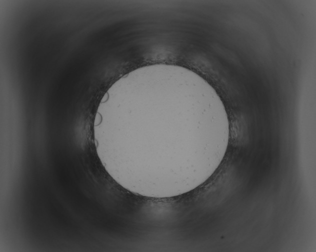 X0000100910820200806241049