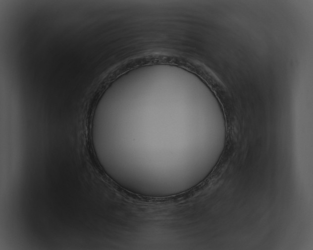 X0000100910821200806241049