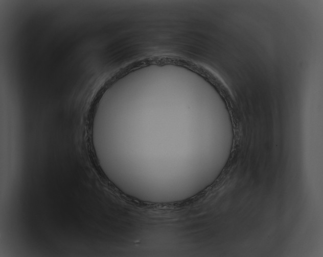 X0000100910823200806241049