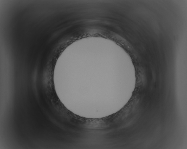 X0000100910824200806241049