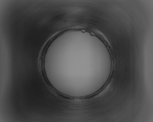 X0000100910827200806241049