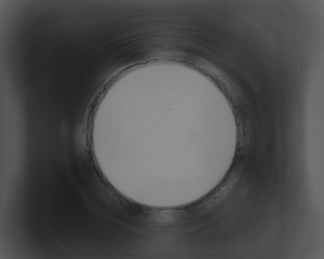 X0000100910828200806241049