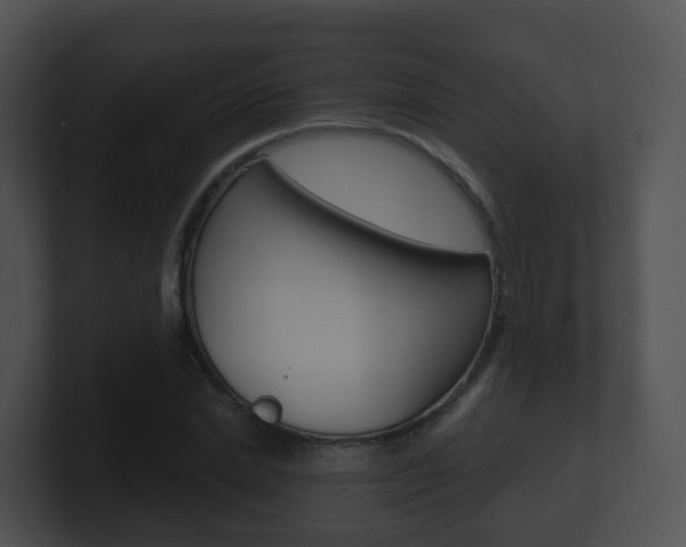 X0000100910830200806241049