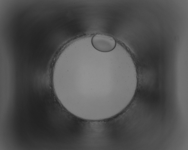 X0000100910832200806241049