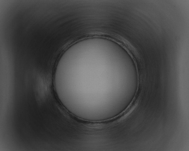 X0000100910833200806241049
