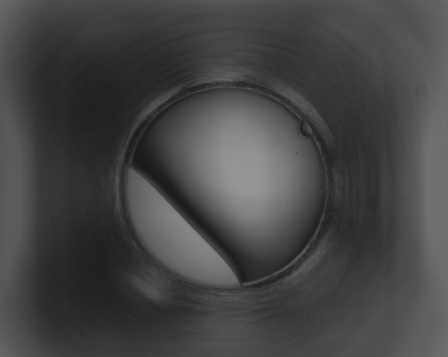 X0000100910834200806241049