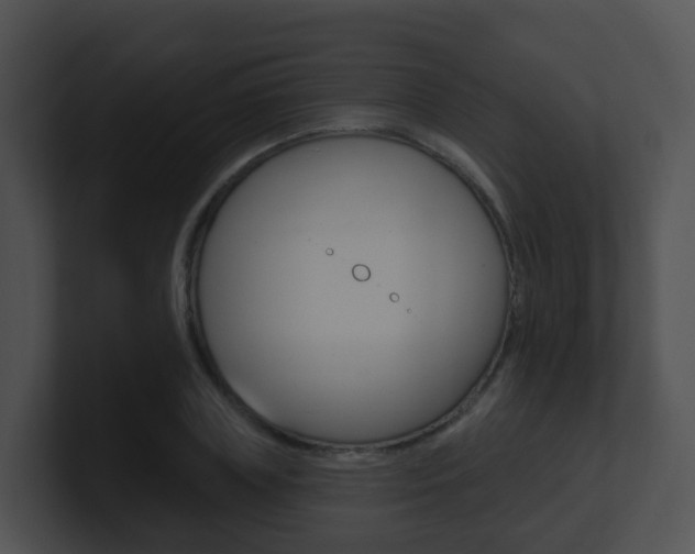 X0000100910835200806241049