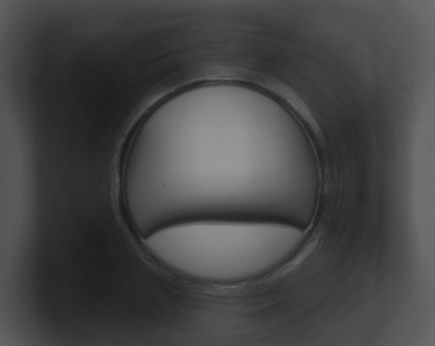 X0000100910837200806241049