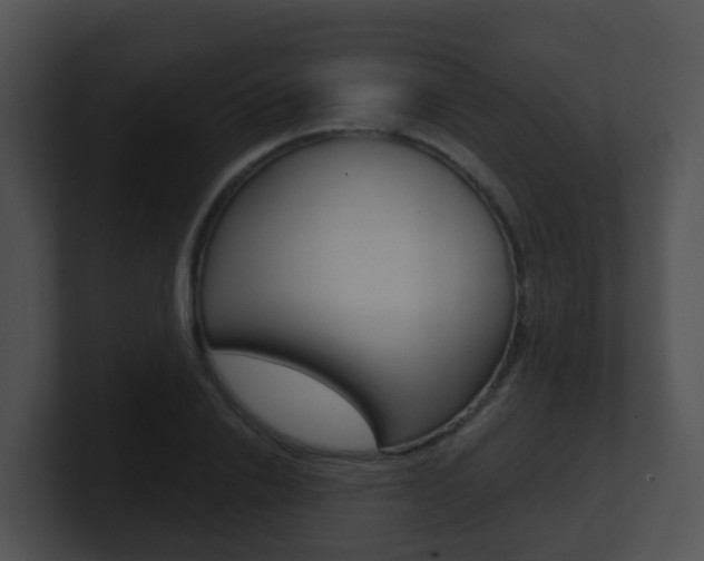 X0000100910838200806241049
