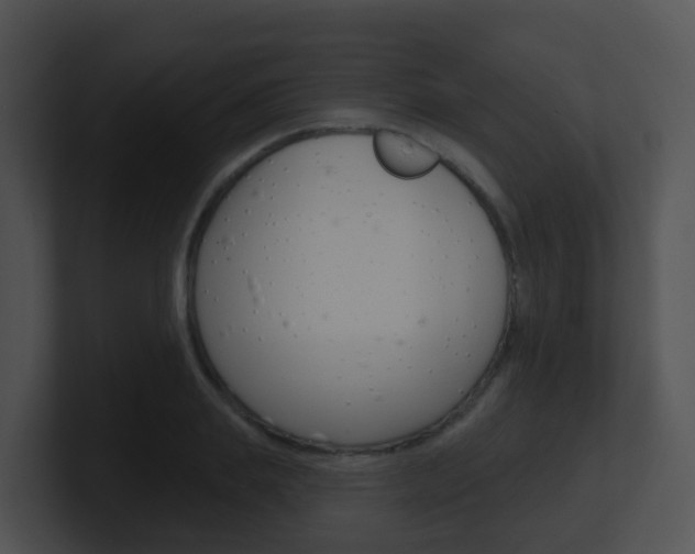X0000100910839200806241049