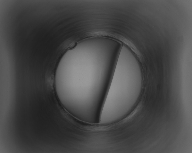 X0000100910841200806241049