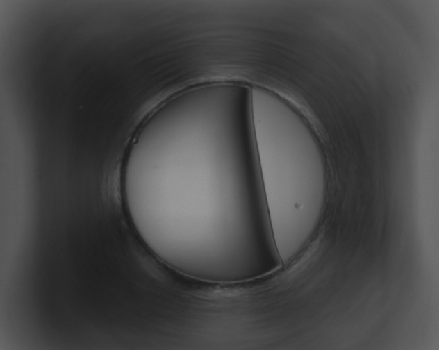 X0000100910842200806241049