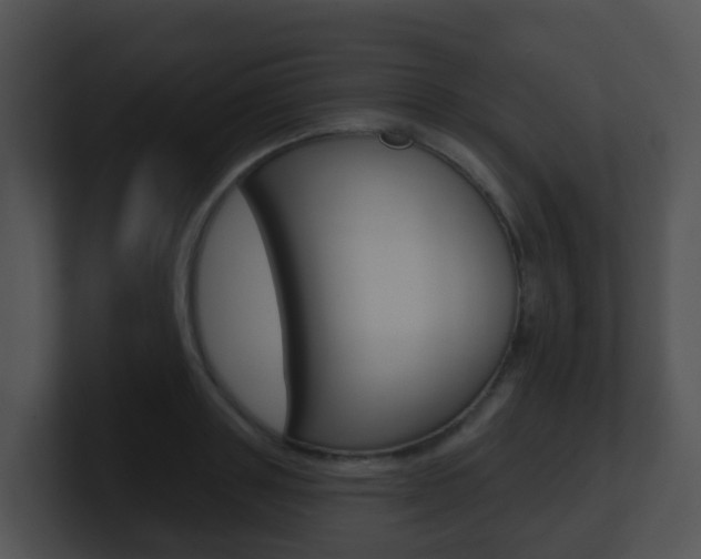 X0000100910843200806241049