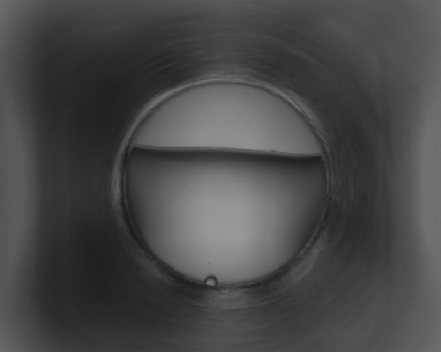 X0000100910846200806241049
