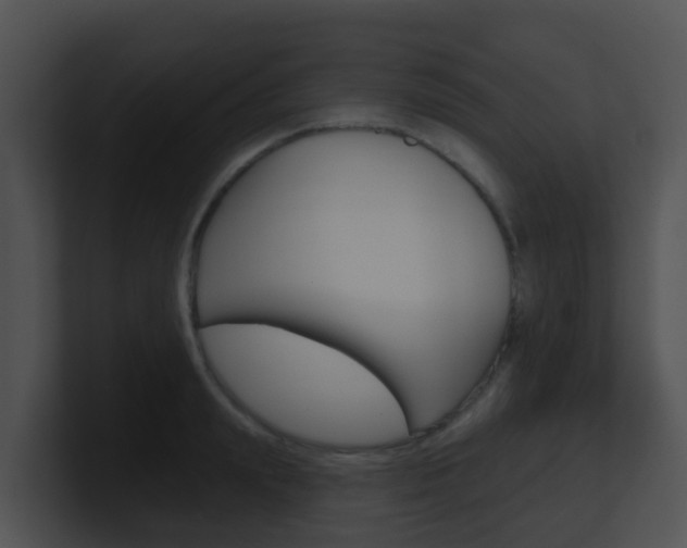 X0000100910847200806241049