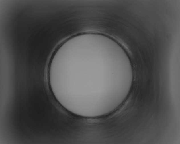 X0000100910848200806241049