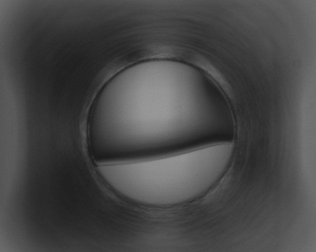 X0000100910850200806241049