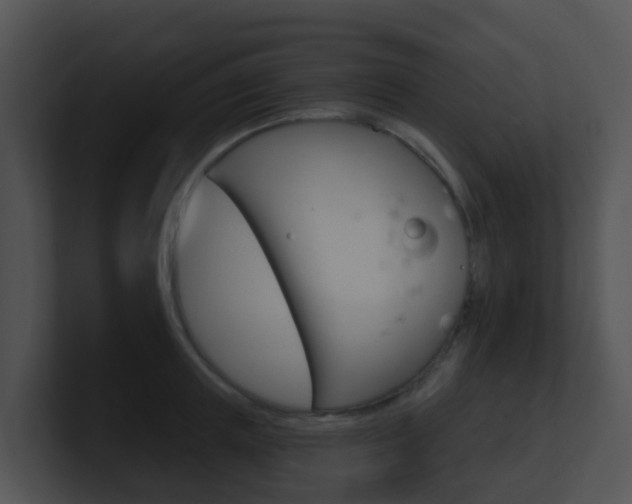 X0000100910851200806241049