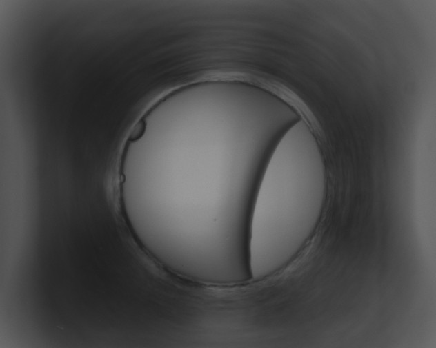 X0000100910852200806241049