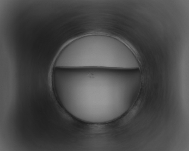 X0000100910854200806241049