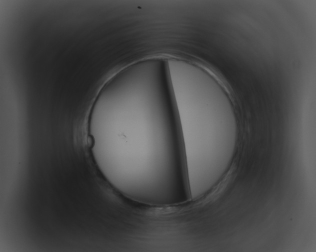 X0000100910858200806241049