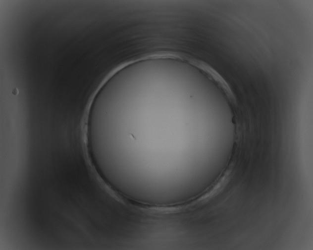 X0000100910860200806241049