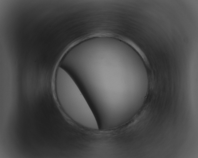 X0000100910861200806241049